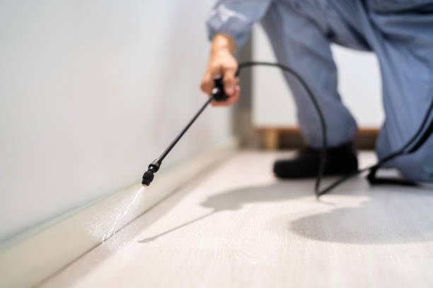 Licensed Termite Control service in Davidson County County, NC - Nex Pest Control