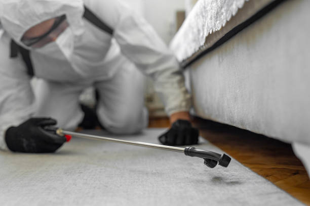 Professional Termite Control technician working in Davidson County County, NC